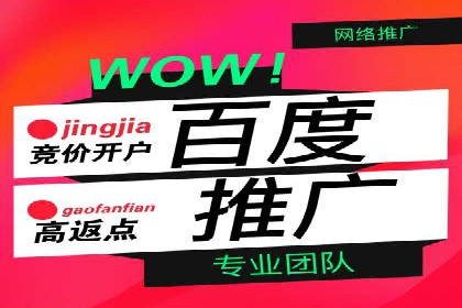 竞价推广的技巧与案例分享